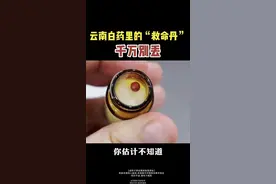这个可不是干燥剂，是保险子。不会丢了吧#保险子   #云南白药小红丸   #医学科普视频封面