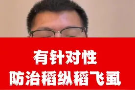 水稻虫害不盲目施药，需要有针对性#三农 #农业 #科普一下 #农作物农技110