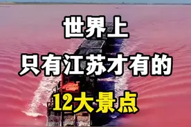 世界上只有江苏才有的12大景点。 #内容启发搜索 #江苏旅游景点推荐 #江苏旅游攻略 #江苏美好推荐官 #江苏好玩的地方视频封面
