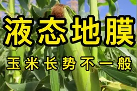 液态地膜成田间地头新宠，既是地膜又是肥，助你种地更轻松！视频封面