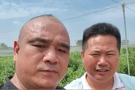 #东乡龙哥 为爱采摘，以蓝为媒！创业之乡马圩镇新溪村委会蓝莓基地欢迎大家来采摘！#蓝莓熟了视频封面