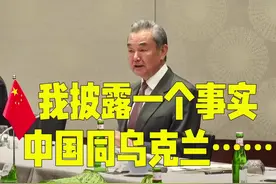 王毅：可能有些国家不知道，中国同乌克兰是战略伙伴关系视频封面