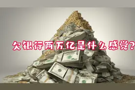 你知道欠银行2万亿是什么概念吗？#碎银几两可解世间惆怅
