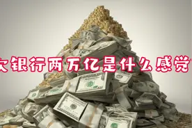 你知道欠银行2万亿是什么概念吗？#碎银几两可解世间惆怅