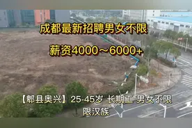 成都郫都急招男女工，4000-6000+待遇好，上班轻松。#上热门视频封面