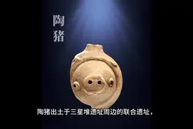 陶猪出土于三星堆遗址周边的联合遗址，距今三千两百多年视频封面