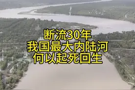 我国最大最长的内陆河，是如何重生的#塔里木河 #塔里木盆地 #新疆 #塔克拉玛干沙漠