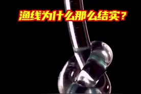 渔线那么细，为什么却那么结实？#抖音知识年终大赏 #抖音精选 #解压 #渔线 #科普