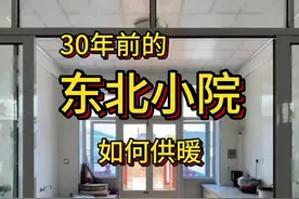 东北小院自己供暖 #记录真实生活 #农村生活 #现场实拍 #日常vlog #我的乡村生活视频封面