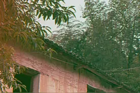 校园青春记忆温暖了多少人？#80年代视频封面