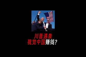 特朗普演讲遇袭，视觉中国竟然赚钱了？#冷知识 #趣味科普 #省流视频封面