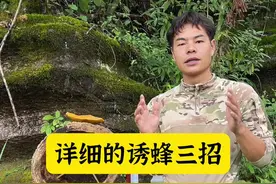 很详细的诱蜂三招，想要顺利快速诱到蜜蜂，这三个细节必须要知道#诱蜂 #养蜂 #养蜂技术 #三农 @抖音短视频视频封面