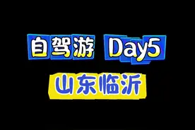 中国炒鸡看山东，山东炒鸡看临沂，你们觉得味道如何#自驾游 #国内游 #山东临沂炒鸡 #北方南方 #南北差异
