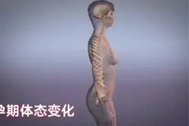 孕妈妈的体态变化#3d动画演示 #科普一下 #宝妈产后修复视频封面
