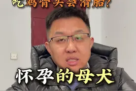怀孕的母犬吃鸡骨头真的会滑胎吗？还有很多人被误导#狗狗#自繁自养#农村创业养殖#养殖人加油#萌宠出道计划视频封面