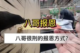 警察叔叔：你说，继续说，这故事还是第一次听