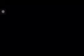 谁要联合？##恶搞之家 #恶搞之家stewie #错误化恶搞之家