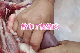 教你了解猪肉 猪肉常用小知识#猪肉 #美食 #左手刀鹏哥 #解压 #知识