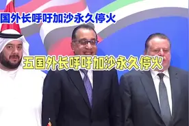 五国联手呼吁加沙永久停火，为地区带来和平曙光#以色列#巴以冲突视频封面