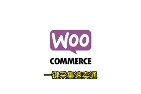 WordPress一键上传速卖通产品，超简单 #WordPress #woocommerce视频封面