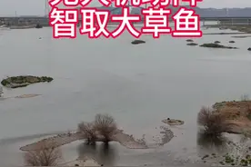 冬日汉江，无人机助阵智取大草鱼！ #冬钓草鱼 #汉江钓鱼视频封面