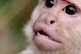 本以为是灾难片，结果却是预言片 #宅家dou剧场  #美国  #疫情  #埃博拉