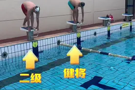 蛙泳视频 《成人线下进修班》国家级老健将vs二级运动员！蛙泳是效率重要还是频率重要？#游泳 #运动 #日常训练 #蛙泳 #体育