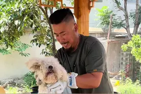 返场的比熊真是屡教不改，看我今天能驯服它吗#比熊 #比熊咬人 #咬人的狗怎么训练 #训犬