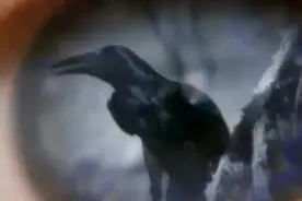 《不要哭泣》 枪炮与玫瑰乐队#金属摇滚视频封面