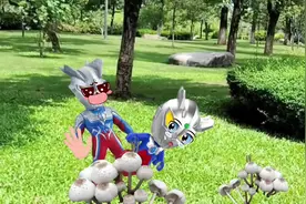 早教启蒙动画视频：野生菌菇别乱采乱吃，可能会致命！#幼儿启蒙