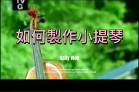 如何製作小提琴？ #希望能帮到你少走弯路视频封面