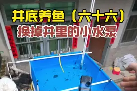 水泵坏了一整夜，底下的鱼差点死了，赶紧把旧水泵拆下来换上新的！#井底养鱼 #真实户外 #农村生活 #过滤系统视频封面