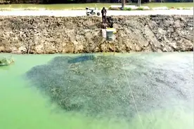 广东百家姓，按各姓氏人口数量排名，快看看你的姓氏排第几…视频封面