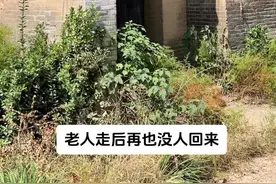 老人走后，这个院子再没有人打理，院内已是荒草覆盖残垣断壁，这是一座清晚期的古宅子，大门影壁尤其精美，四合院布局，只可惜这样的院子就这样荒废无人问津，连个文物挂牌都没有。拍摄于山西稷山县。#山西古建筑 #古建筑 #老房子视频封面