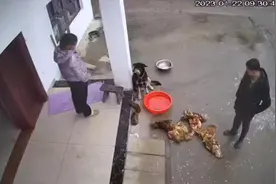 后续#监控下的一幕 #二哈就是二哈  我公公找了一夜没找到视频封面