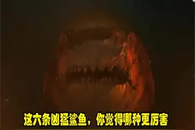 #海洋世界 ，六条凶猛的鲨鱼，你觉得哪种鲨鱼更厉害。