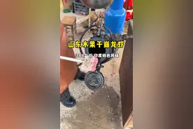 山东街头水果干崩龙虾388一份，印度口味这吃法太炸裂了 #妈呀太香了 #路边摊美味