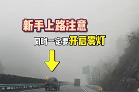 新手上路注意：老司机现场演示雾灯与双闪灯怎么开 #每天一个用车知识 #高速行车安全 #跑高速技巧新手必看视频封面