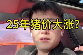 2025猪价大涨#所有养猪人 #猪价行情 #三农 #三农养猪人 #所有养猪视频封面