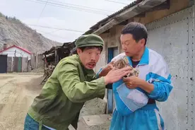 每年的农历四月十八，东北开始下酱了 #东北大酱视频封面