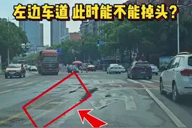 老司机来说说，左转车道此时能不能掉头？新手朋友要明白 #新手开车 #开车技巧