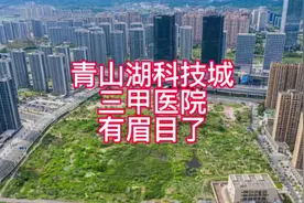 青山湖科技城三甲医院终于有眉目了视频封面