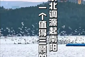 南水北调 源起南阳 一座奉献的城市 南水北调 源起南阳 一座奉献的城市 惠及1.4亿人口 36.8万人举家搬迁“南阳一个值得你三顾的地方”#河南#南阳#内容启发搜索 #南水北调视频封面