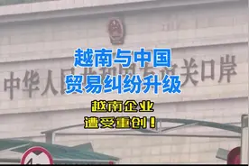 越南与中国的贸易纠纷升级，越南企业遭受重创！#越南 #市场视频封面