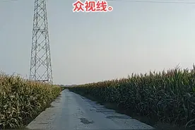 马总去哪了？视频封面