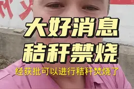 大好消息，可以焚烧秸秆了#农民#秸秆禁烧 #正能量视频封面