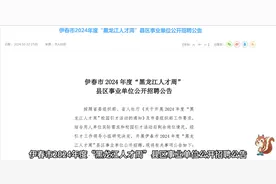 伊春市2024年度“黑龙江人才周”县区事业单位公开招聘公告视频封面
