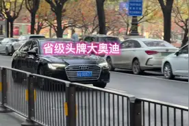 大奥迪配上西安顶级头牌车牌 ，真的太帅 西安最强奥迪！#奥迪a8视频封面