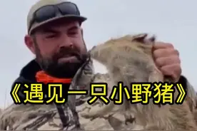 大叔在野外遇到一只脾气很大的小野猪#野生动物零距离 #人与动物和谐共处 #神奇动物在抖音视频封面