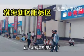 河北高速：渤海新区服务区#就是热